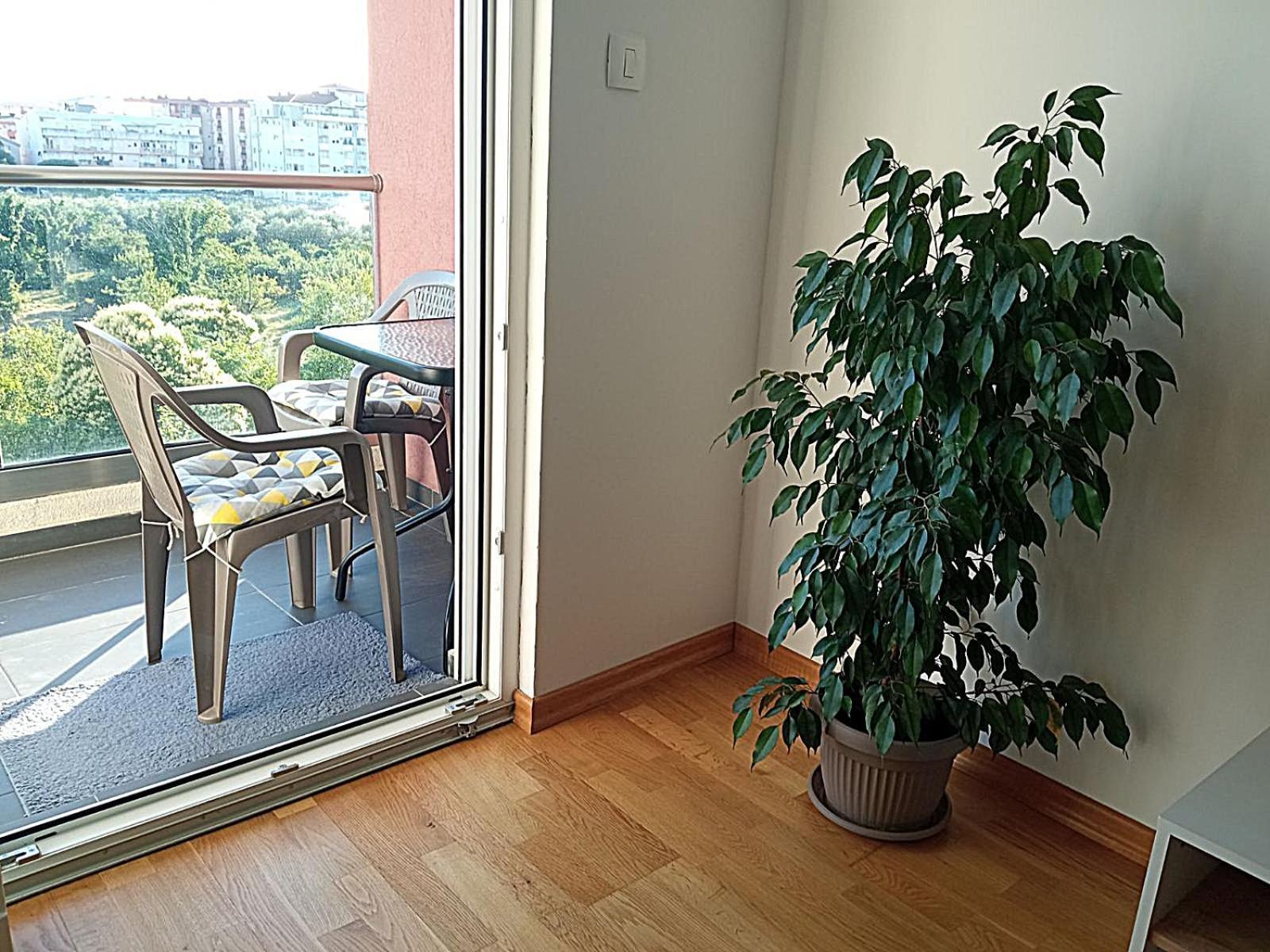 Aga Apartman Podgorica Exterior foto